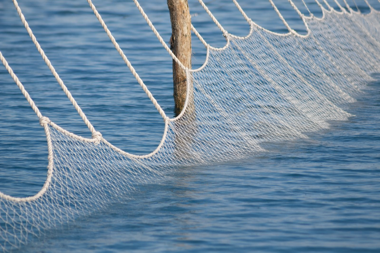 amount of rope in a fishing net simple Housoutil 1 Roll Nylon String, 300m/980ft Repair Line, 18 Strand Twine Braided Wrapping Rope, Multi-use Fishing Cord Twine for Crab Trap, DIY Crafts to Weave Nylon Braided Wire Fishing Cast Net 10ft with